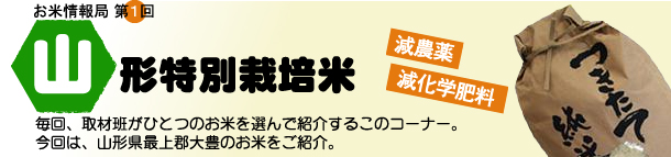 お米情報局第1回